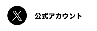 公式X